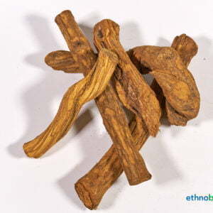 Banisteriopsis caapi 04