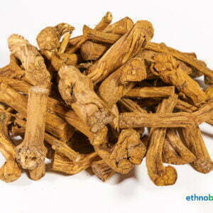 Banisteriopsis caapi 05