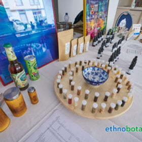 entwicklungen hochstrasse 70 0031