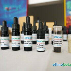 entwicklungen hochstrasse 70 0033