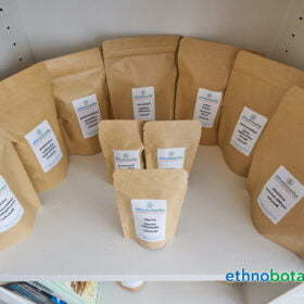 entwicklungen hochstrasse 70 0037