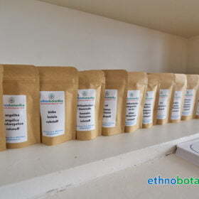 entwicklungen hochstrasse 70 0038