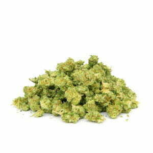 glue gelato nano nuggs swiss botanic hydrokultur indoor hanfblueten 02